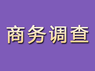 平鲁商务调查